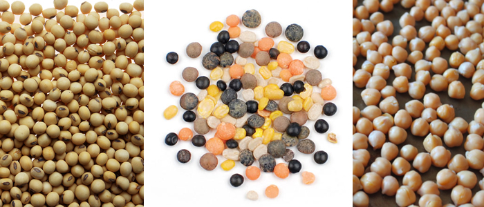 Soybeans, Chickpeas and Lentils