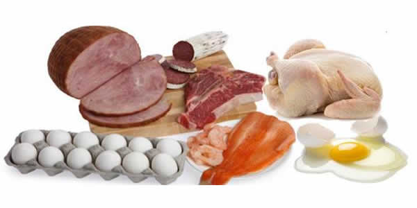 proteins good for belly
