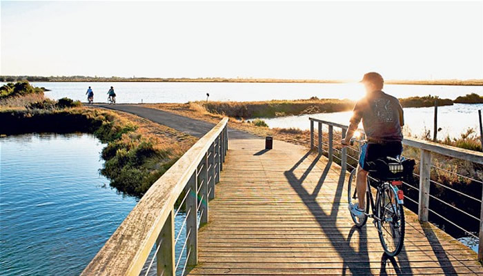 cycling for weight lose
