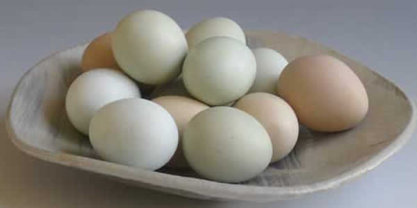 how eggs help in slpeeing