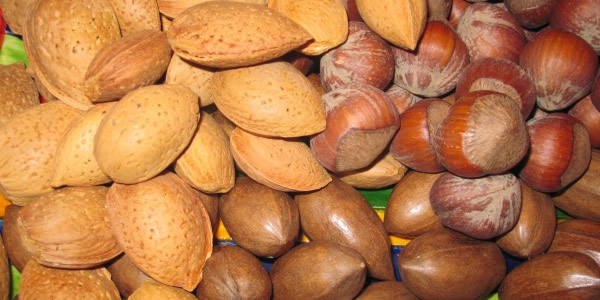 nuts for weight lose