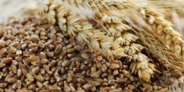 whole grains for diebetes patients