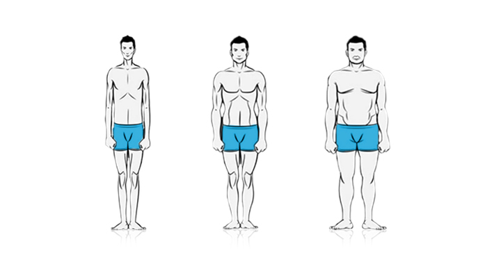determine your body type