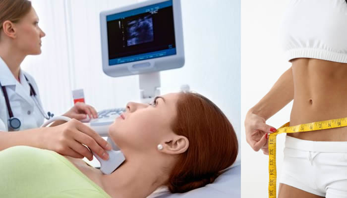 Thyroid Medication Weight Loss with tips 