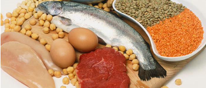 diet plan to loss belly fat