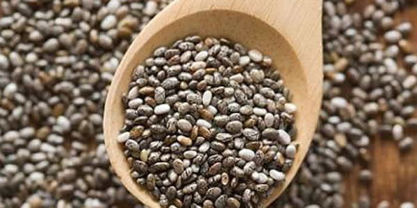 best seeds with hgih fiber