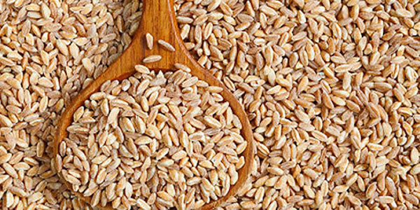 farro dish for weight loss