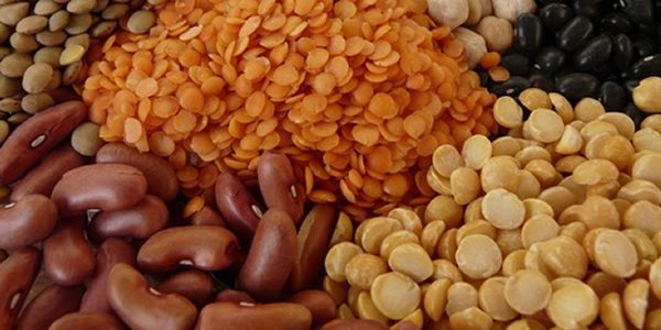 but increase belly fats