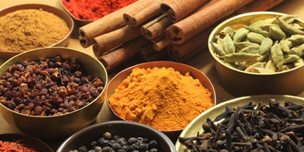 spices in the food 