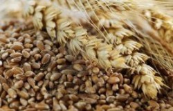 3 Foods to Improve the Use of Insulin for Diabetes Patients